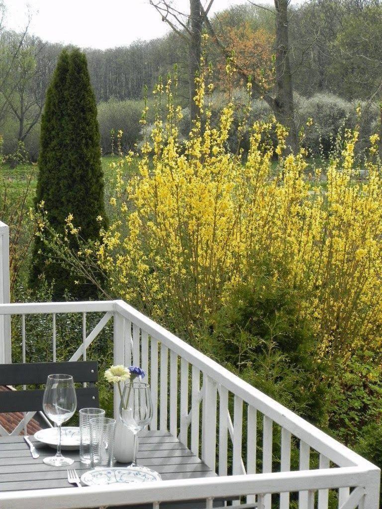 Ferienwohnung-Nils-Holgerson-Mit-Balkon-Zwischen-Strand-Wald-Wiese-Im-Suedosten-Der-Insel-Ruegen Gustow  ภายนอก รูปภาพ